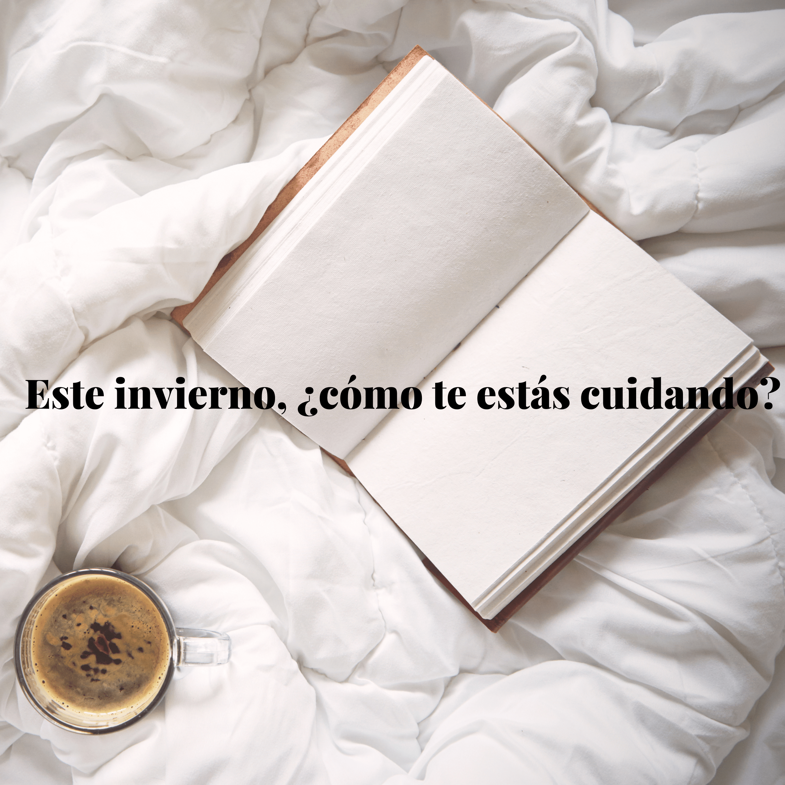 Productos Estrella - Meishida