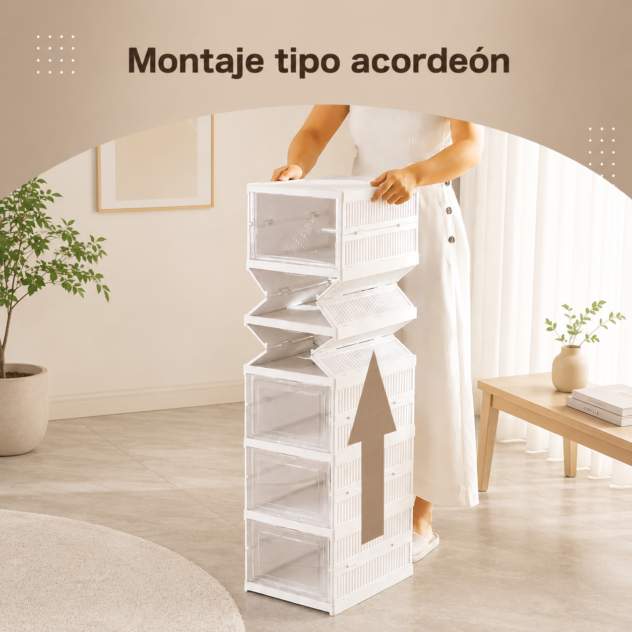 Organizador de Zapatos Modular con Estantes y puerta.