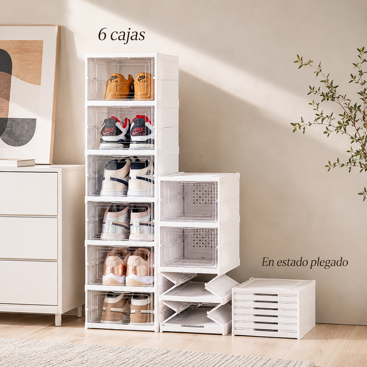 Organizador de Zapatos Modular con Estantes y puerta.