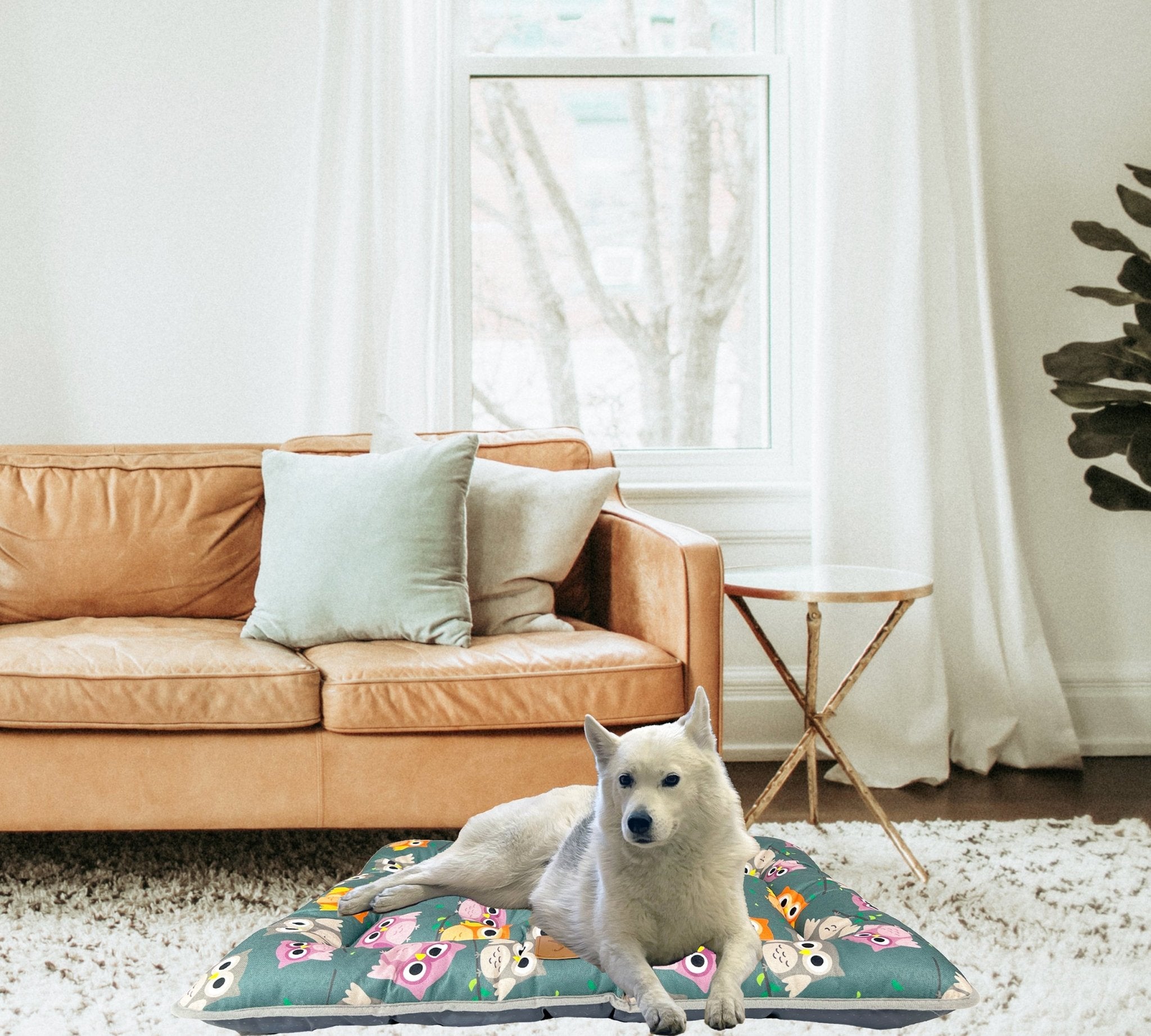 Imagen de Productos para mascotas y animales Colchoneta perro (Dibujos) en color M: 70x55cm de Meishida